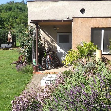 Apartman Lenka II Borsice 外观 照片