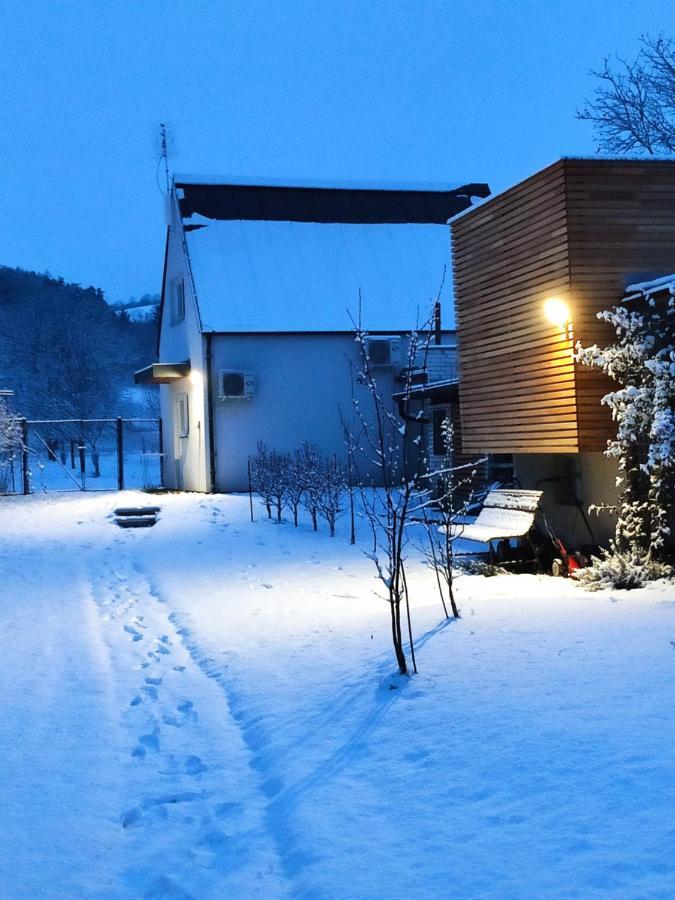 Apartman Lenka II Borsice 外观 照片
